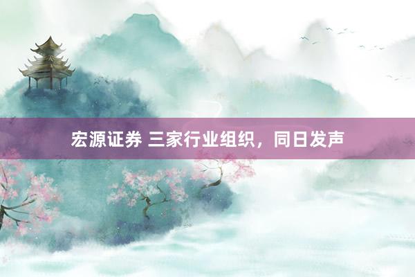 宏源证券 三家行业组织，同日发声