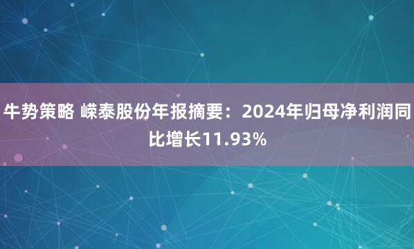 牛势策略 嵘泰股份年报摘要：2024年归母净利润同比增长11.93%