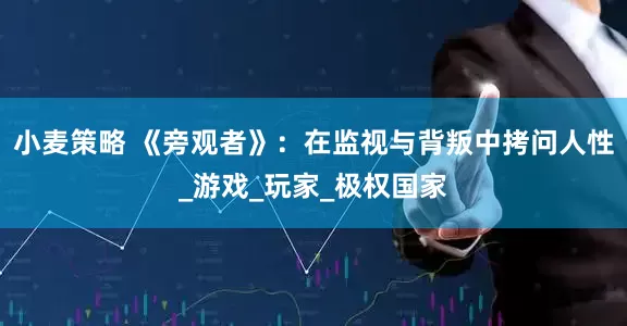 小麦策略 《旁观者》：在监视与背叛中拷问人性_游戏_玩家_极权国家