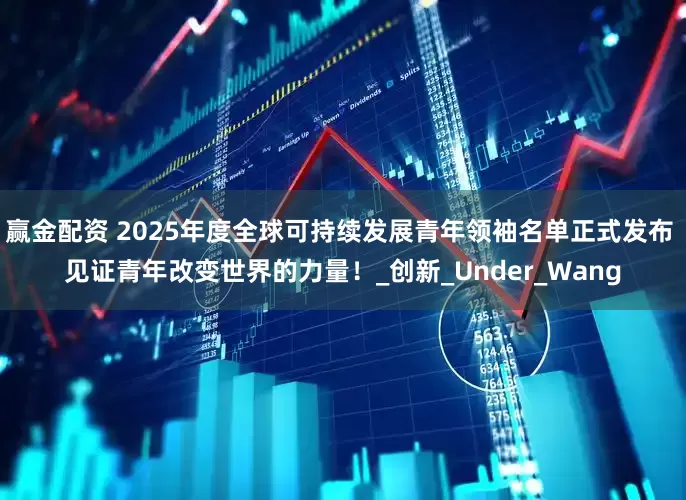 赢金配资 2025年度全球可持续发展青年领袖名单正式发布 见证青年改变世界的力量！_创新_Under_Wang