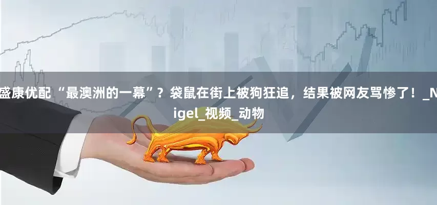盛康优配 “最澳洲的一幕”？袋鼠在街上被狗狂追，结果被网友骂惨了！_Nigel_视频_动物