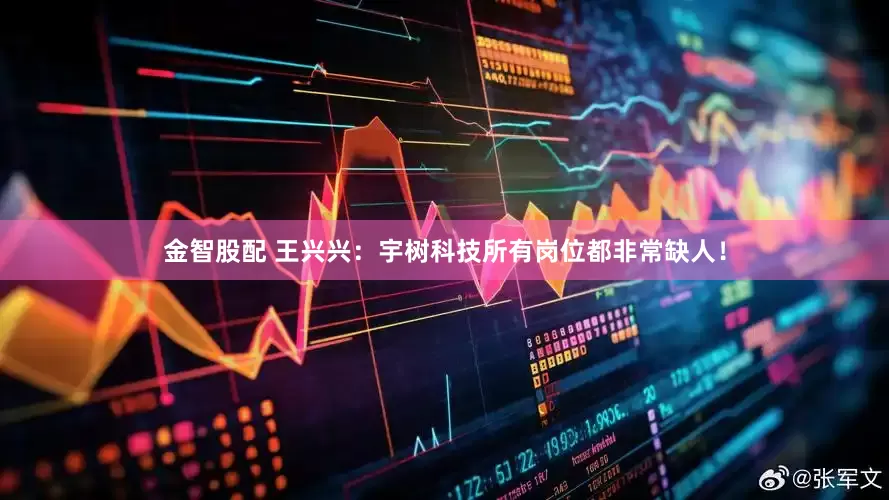 金智股配 王兴兴：宇树科技所有岗位都非常缺人！