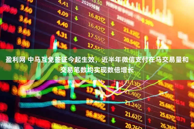 盈利网 中马互免签证今起生效，近半年微信支付在马交易量和交易笔数均实现数倍增长
