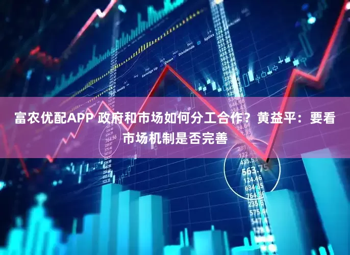 富农优配APP 政府和市场如何分工合作？黄益平：要看市场机制是否完善